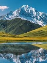 荒野行动九游版下载-荒野行动九游版，穿越虚拟世界的冒险之旅