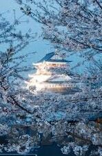周公解梦梦见世界杯-周公解梦，梦见世界杯的奇妙之旅